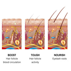 100% Pure Castor Oil – Hair, Lash & Brow Growth Oil